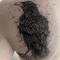 Tetování vrány
