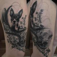Tetování psa